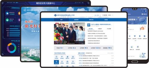 互聯網 大數據 ,中衛慧通助力陽光村務信息化建設