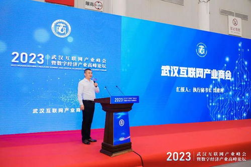 武漢互聯網產業峰會暨數字經濟產業高峰論壇圓滿舉行，引領企業網站創新與變革